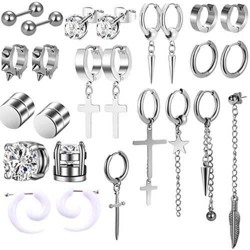 25 Piece Silver Earring Set