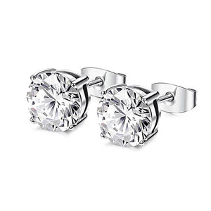 25 Piece Silver Earring Set